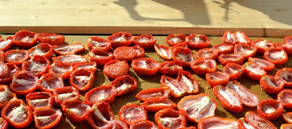 güneşte domates kurusu