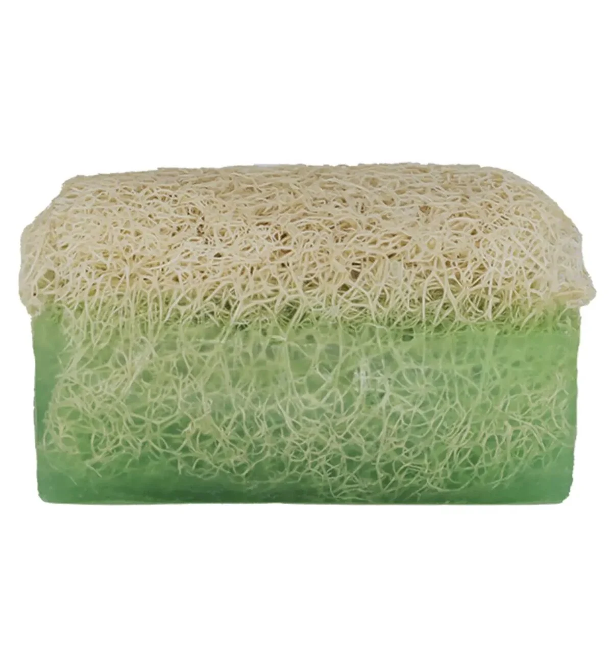 organik Kabak Lifli Aloe Vera Sabun