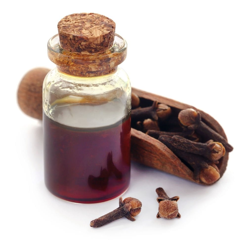 organic clove oil