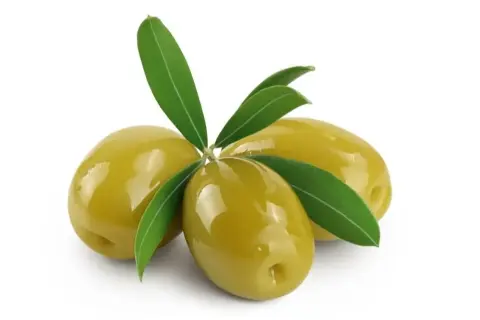 Yeşil Zeytin