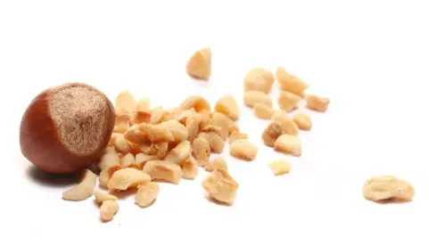 Измельчённые фундук