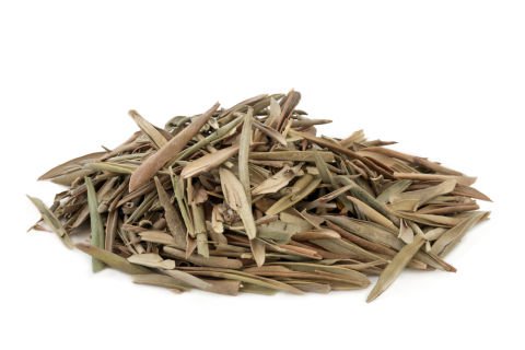 Té de hojas de olivo