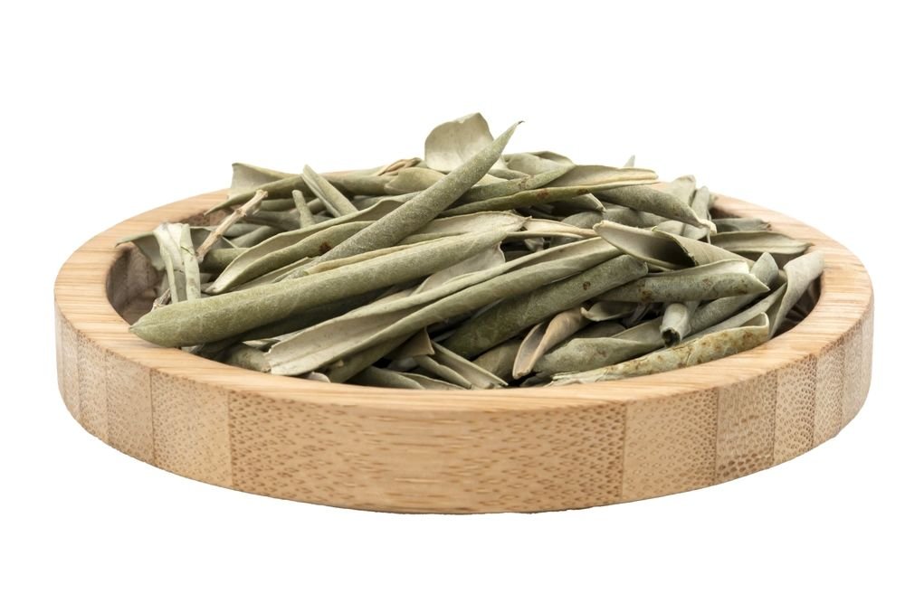 Té de hojas de olivo