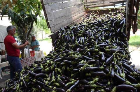 Dried Eggplant