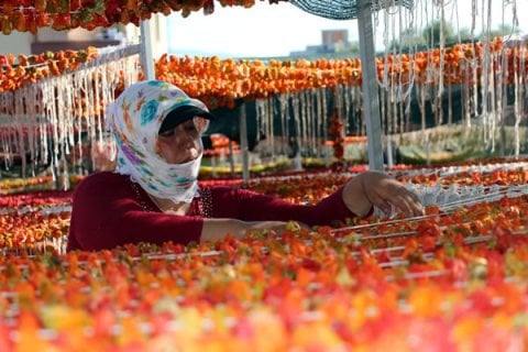 Сушеный болгарский перец