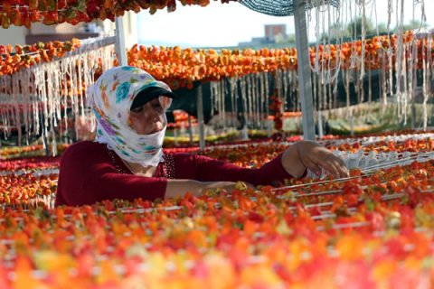 Dolmalık Kuru Biber