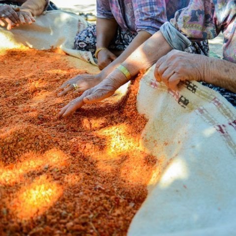 قرية ترهانا