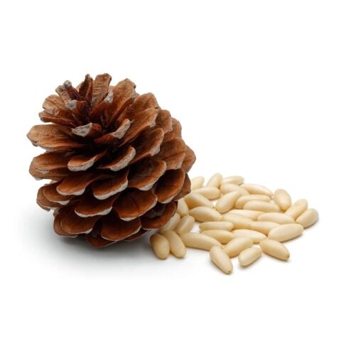 Çam Fıstığı 1 Kg