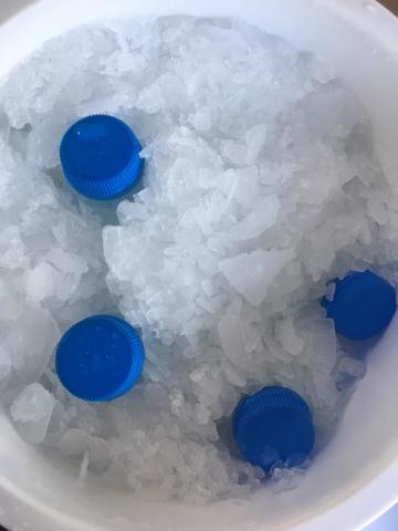 Deve Sütü 4 Litre 1 Aylık Tüketim