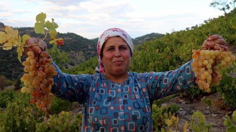 Üzüm Pekmezi 1 Kg