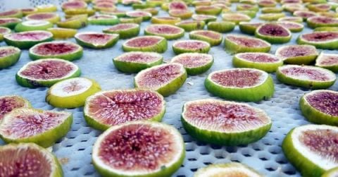 Chips de higo