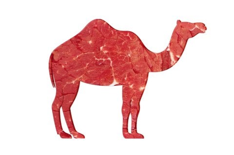 Carne de camello