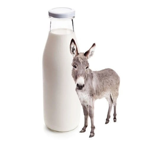 Donkey Milk 2 Liters (2 Weeks Consumption)