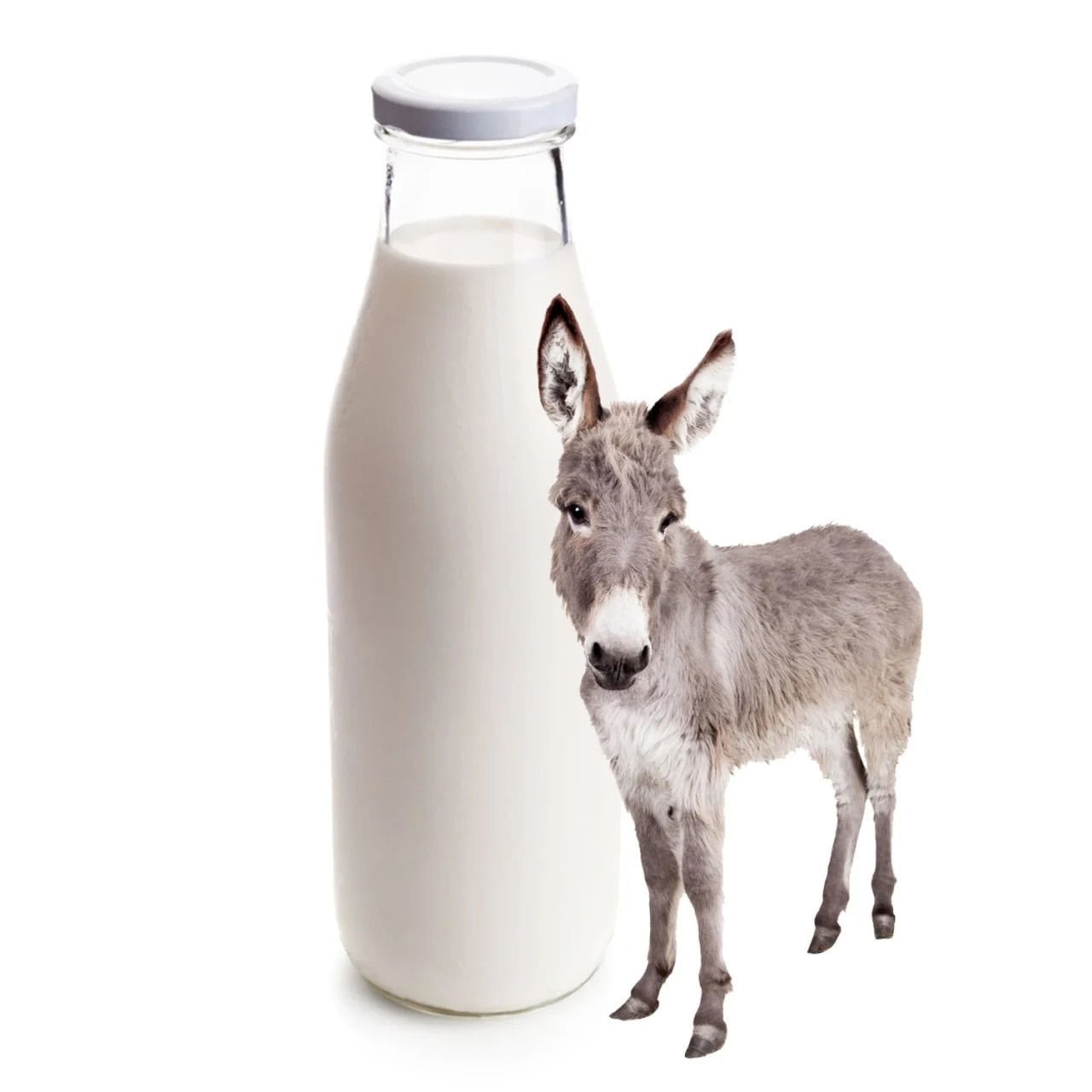 Eşek Sütü 4 Litre 1 Aylık Tüketim