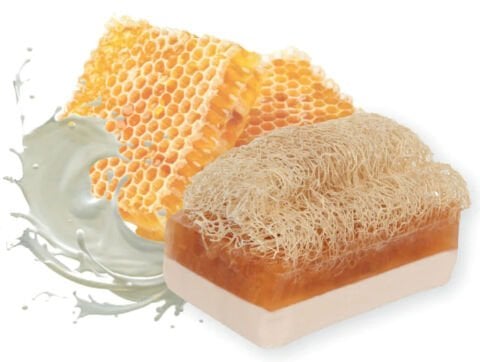 Honig-Ziegenmilchseife