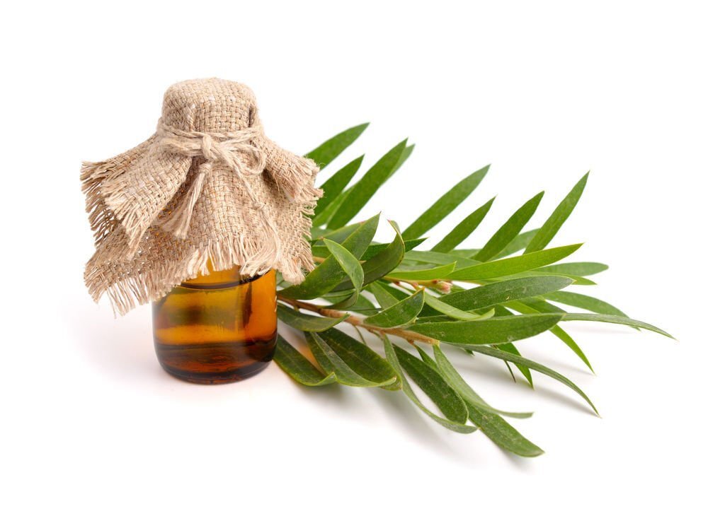Tea Tree Oil