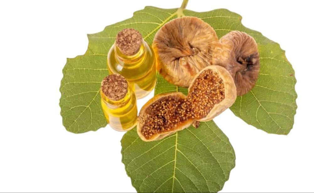 زيت بذور التين