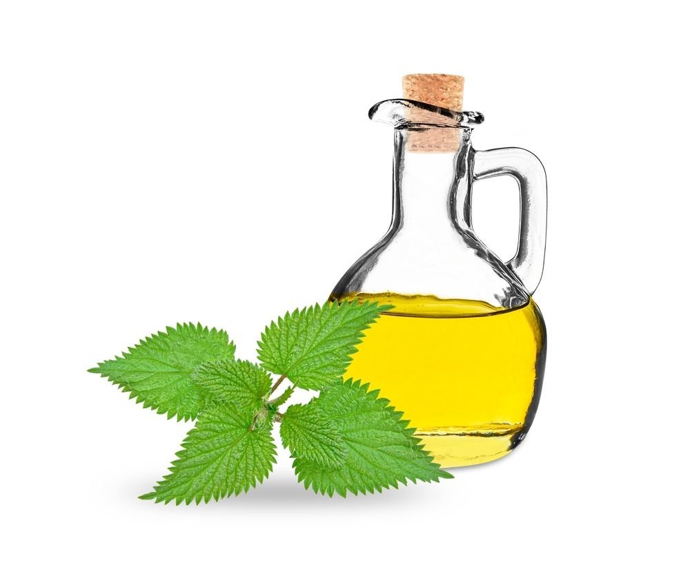 زيت بذور نبات القراص