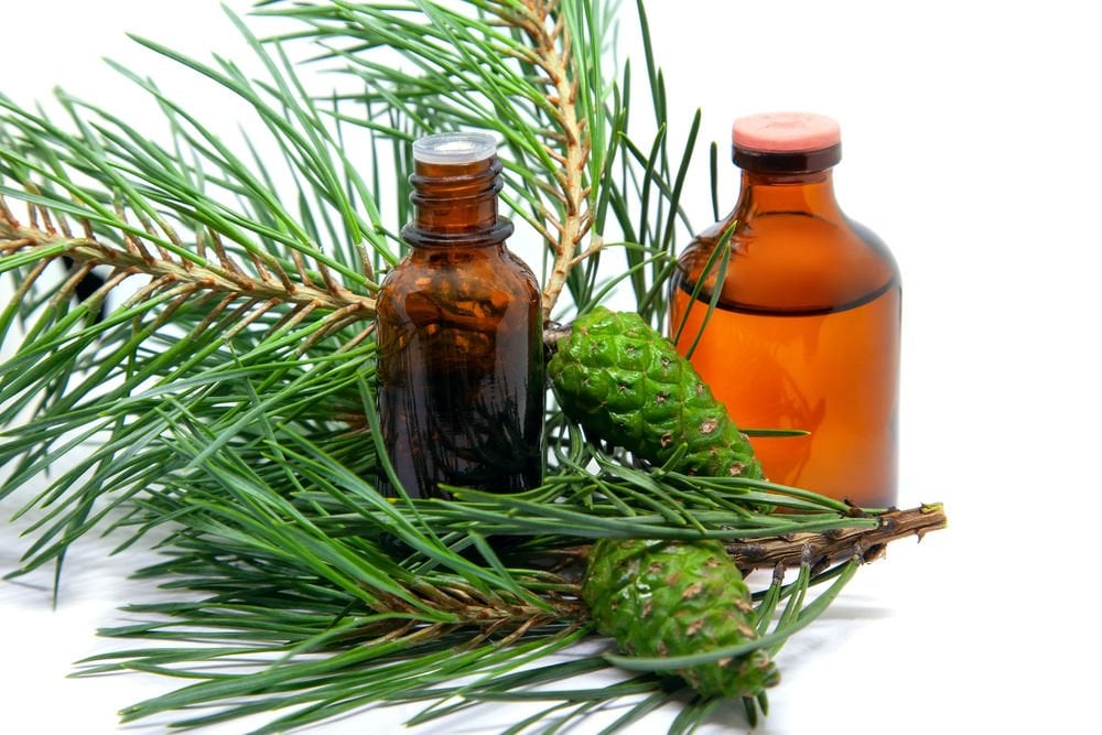 Сосновое терпентинное масло