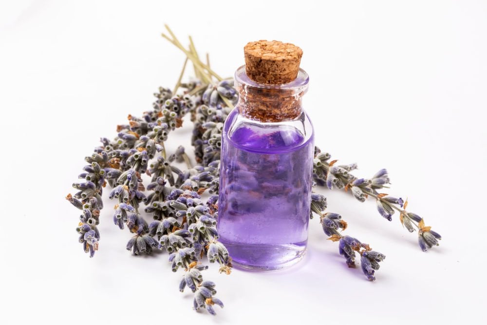 Aceite de lavanda
