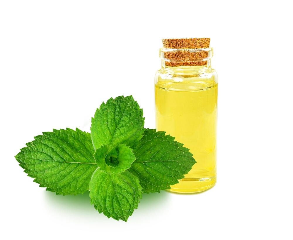 زيت النعناع