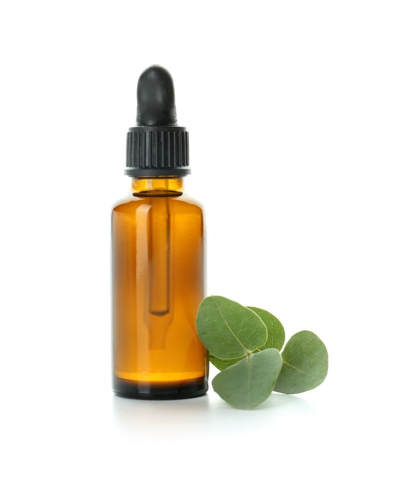 Eucalyptus Oil
