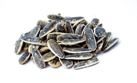 بذور عباد الشمس