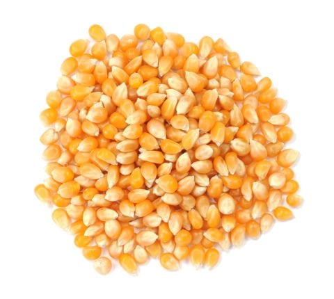 الجن والذرة