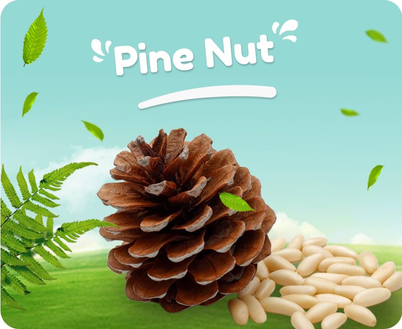 Organik Köy Ürünleri