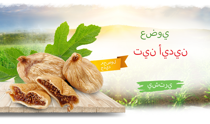 Aydınlı amca Organik Köy Ürünleri