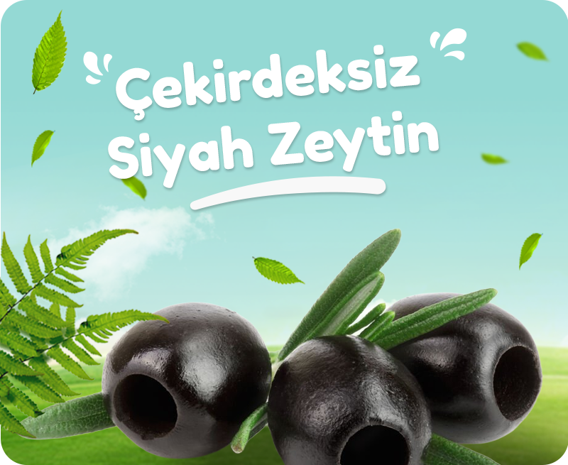 Organik Köy Ürünleri