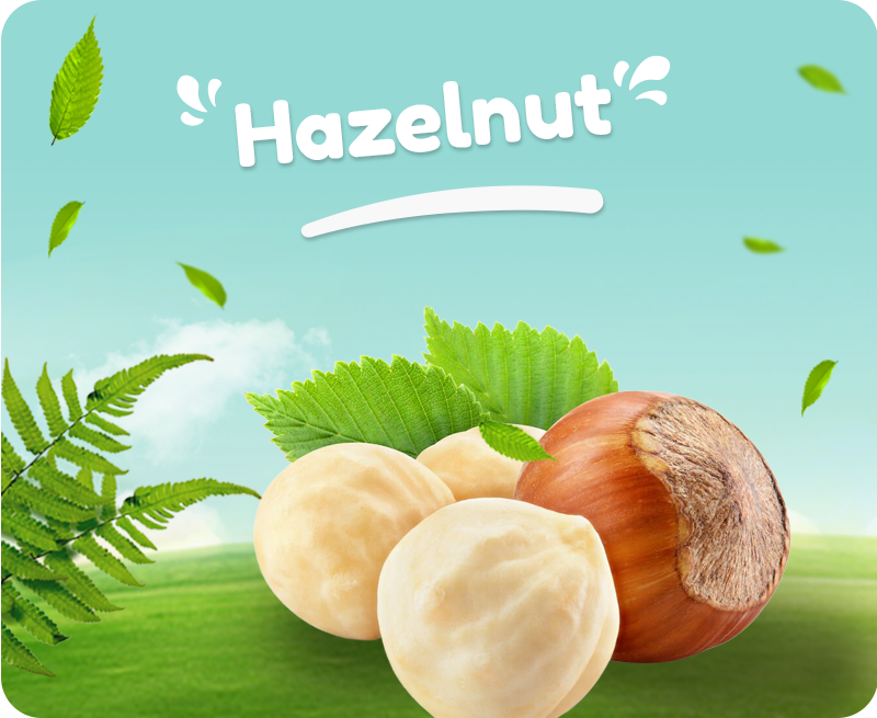 Organik Köy Ürünleri